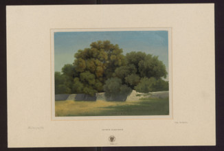 Wall separating a meadow and a clump of trees near Albano; Arthur Blaschnik (1823–1918),