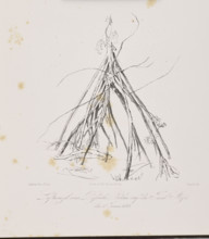 1) Tree trunk on the island of Tuaimaiduba, December 30, 1842; 2) Roots of the passuiba palm on the