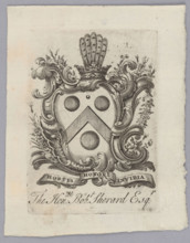 Coat of arms shield in a rocaille cartouche decorated with flowers; in the finial a rank crown and