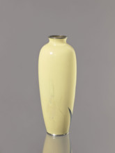 Vase, Ôta, Jinnoei (fl. ca. 1870–1920), Japanese, irises, flowers, Meiji (1868–1912), shosen
