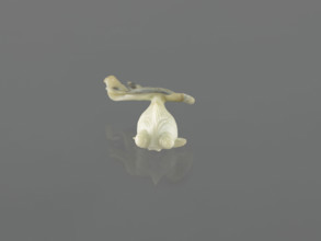 Fish-shaped paperweight; fish motif; Chinese; Qing dynasty (1644–1911); 19th century; decoration;
