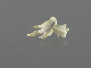 Fish-shaped paperweight; fish motif; Chinese; Qing dynasty (1644–1911); 19th century; decoration;
