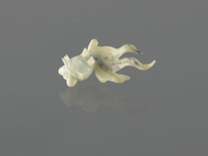 Fish-shaped paperweight; fish motif; Chinese; Qing dynasty (1644–1911); 19th century; decoration;