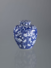 Ginger vessel with lid; Chinese; Qing dynasty (1644–1911); spice vessel; decorative vessel; cracked