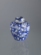 Ginger vessel with lid; Chinese; Qing dynasty (1644–1911); 19th century; spice vessel/decorative