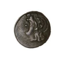 Bronze coin (Pantikapaion), obv.: head of beardless Satyr in ivy wreath facing left; rev.: lion