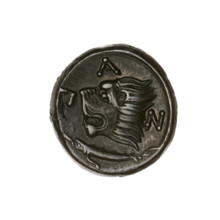 Bronze coin, Pantikapaion; obv.: head of beardless Satyr in ivy wreath facing left; rev.: lion head