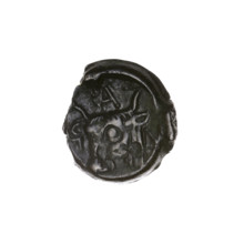 Bronze coin, Pantikapaion; obverse: head of bearded Satyr to the left; reverse: bull head to the