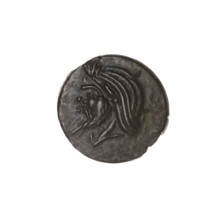 Bronze coin, Pantikapaion; obverse: head of bearded satyr facing left; reverse: bull head facing