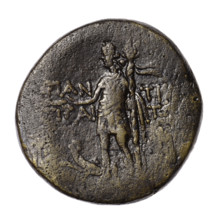 Bronze coin, Pantikapaion; 1st quarter of the 1st century BC (95–65 BC according to Frolov 2002 and
