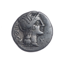 Denarius, Porcius Laeca, P. (fl. 110–109 BC), publisher. Obverse: head of Roma wearing a helmet