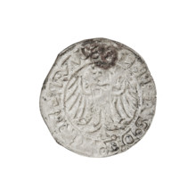 Teutonic groschen, Albrecht Hohenzollern (prince in Prussia; Grand Master; 1490–1568). Obverse: