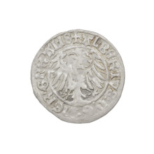 Teutonic groschen, Albrecht Hohenzollern (prince in Prussia; Grand Master; 1490–1568). Obverse: