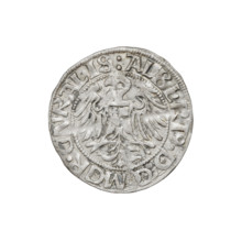 Teutonic groschen, Albrecht Hohenzollern (prince in Prussia; Grand Master; 1490–1568); Wille,