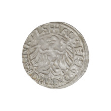 Teutonic groschen, Albrecht Hohenzollern (prince in Prussia; Grand Master; 1490–1568); publishers: