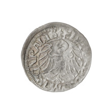 Teutonic groschen, Albrecht Hohenzollern (prince in Prussia; Grand Master; 1490–1568); Wille,