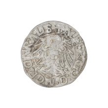 Teutonic groschen, Albrecht Hohenzollern (prince in Prussia; Grand Master; 1490–1568); Wille,