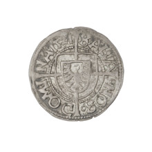 Teutonic groschen, Albrecht Hohenzollern (prince in Prussia; Grand Master; 1490–1568); Wille,