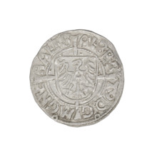 Teutonic groschen, Albrecht Hohenzollern (prince in Prussia; Grand Master; 1490–1568), Wille,