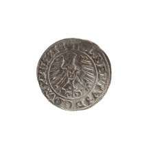 szelag, Nimptsch (Nimsch), Wolf, R1 (rarity); Albrecht Hohenzollern (Prince of Prussia; 1490–1568).