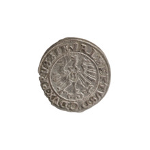szelag, Nimptsch (Nimsch), Wolf, R (rarity), eagles, rosettes, Hohenzollern (coat of arms),