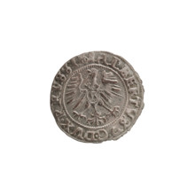 szelag, Nimptsch (Nimsch), Wolf, R (rarity), eagles, Hohenzollern (coat of arms), rosettes,