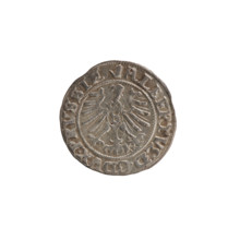 szelag, Nimptsch (Nimsch), Wolf, R (rarity), eagles, rosettes, Hohenzollern (coat of arms),