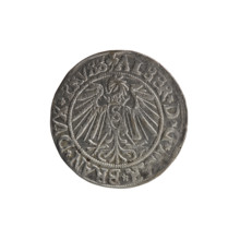grosz, Schilling, Maciej, R3 (rarity), Albrecht Hohenzollern (Prince of Prussia; 1490–1568) -