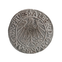 grosz, Straub (Strawb), Heinrich, R0 (rarity). Albrecht Hohenzollern (Prince of Prussia; 1490–1568)