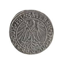 grosz; Schilling; Maciej; R0 (rarity); eagles; Albrecht Hohenzollern (Prince of Prussia; 1490–1568)