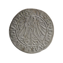 Albrecht Hohenzollern (Prince of Prussia; 1490–1568) — obverse: Prussian eagle with crowned letter