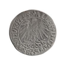 grosz; Schilling, Maciej, publisher; Decjusz, Jost Ludwik (fl. 1528–1535); R0 (rarity). Albrecht