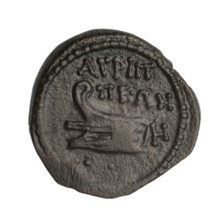 Bronze coin, end 1st century BC, Cimmerian Bosporus, Phanagoria (as Agrippias). Obverse: head of a