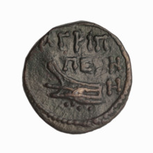 Bronze coin, Phanagoria (as Agrippias); obverse: head of a woman in a diadem and veil (possibly