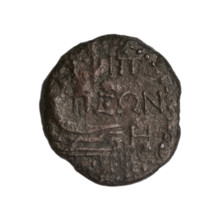 Bronze coin, Phanagoria (as Agrippias); obverse: head of a woman in a diadem and veil (Aphrodite