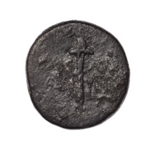 bronze coin, Pantikapaion (Kaisarea), end of the 1st century BC; obverse: bust of a woman in a