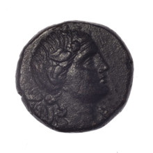 bronze coin, Pantikapaion; obverse: head of young Dionysus in an ivy wreath facing right; reverse: