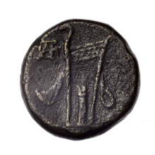 bronze coin, Pantikapaion; obverse: head of young Dionysus in an ivy wreath facing right; reverse: