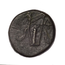 bronze coin, Pantikapaion; obverse: head of young Dionysus in an ivy wreath facing right; reverse: