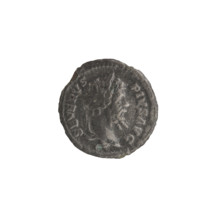 Denarius (unofficial), Dea Caelestis on a lion; Septimius Severus (Roman emperor, 146–211) —