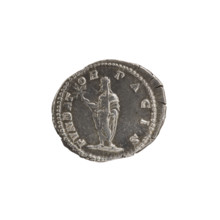 Denarius, standing emperor, Septimius Severus (Roman emperor; 146–211) — iconography: branch