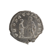 Denarius, Plautilla (ca. 185–212; Roman empress 202–205). Obverse: bust of Plautilla in drapery at