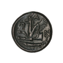 bronze coin, Pantikapaion; protoma of a griffin (iconographic); head of a Satyr (iconographic);