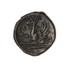 Bronze coin, Pantikapaion; obv.: head of a bearded Satyr without a wreath facing right; rev.: