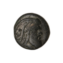 bronze coin, Pantikapaion; protoma of a griffin (iconographic); head of a Satyr (iconographic);