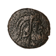 Bronze coin, Pantikapaion; protoma of a griffin (iconographic); head of a Satyr (iconographic);