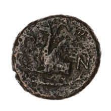 Bronze coin from Pantikapaion (Cimmerian Bosporus), 330–315 BC. Obverse: head of a bearded Satyr
