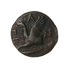 Bronze coin, Pantikapaion, 330–315 BC, Cimmerian Bosporus. Obverse: head of a bearded Satyr without