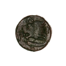 bronze coin, Pantikapaion; obverse: head of a beardless Satyr in an ivy wreath facing left;