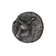 Bronze coin from Pantikapaion depicting a bearded Satyr's head left and a bull's head left; letters